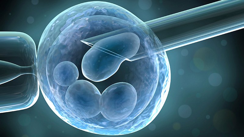 IVF as a hope